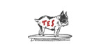 TES